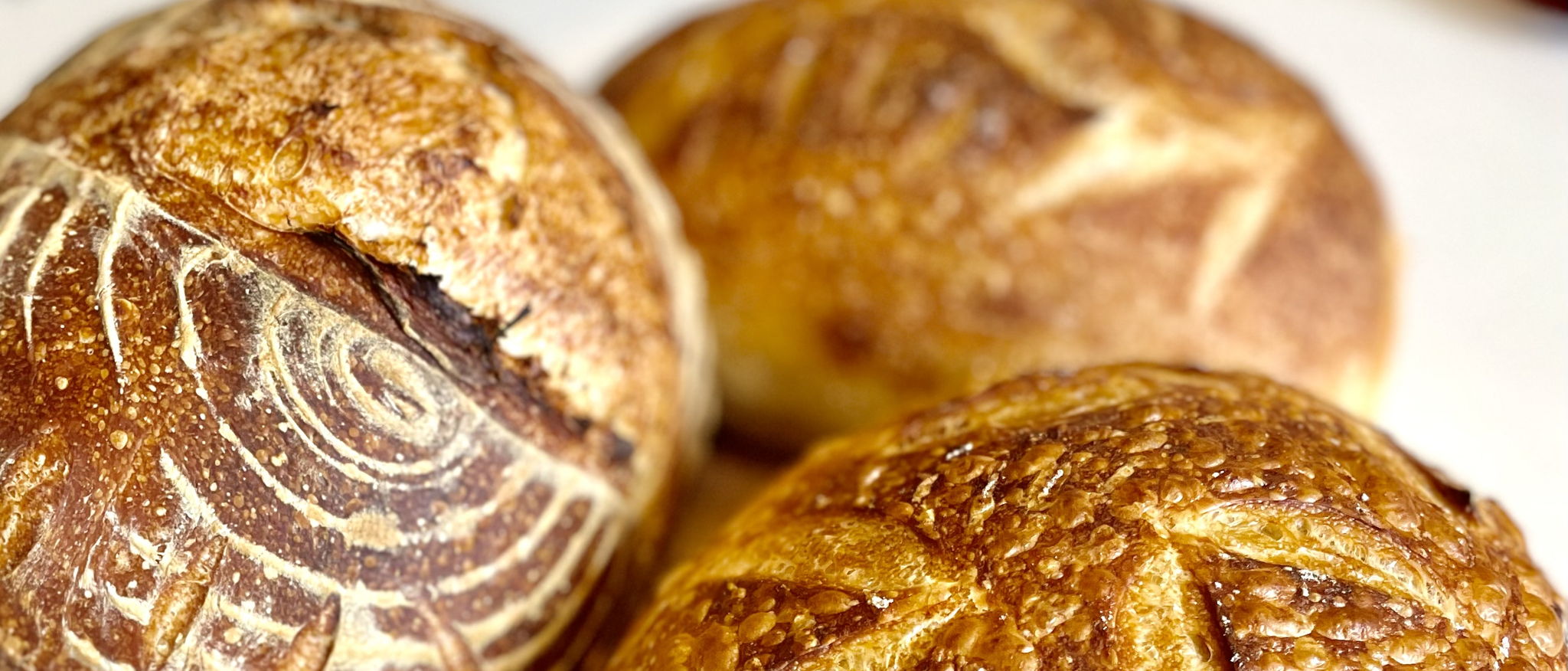 The Flour Shed — photo from hotplate.com