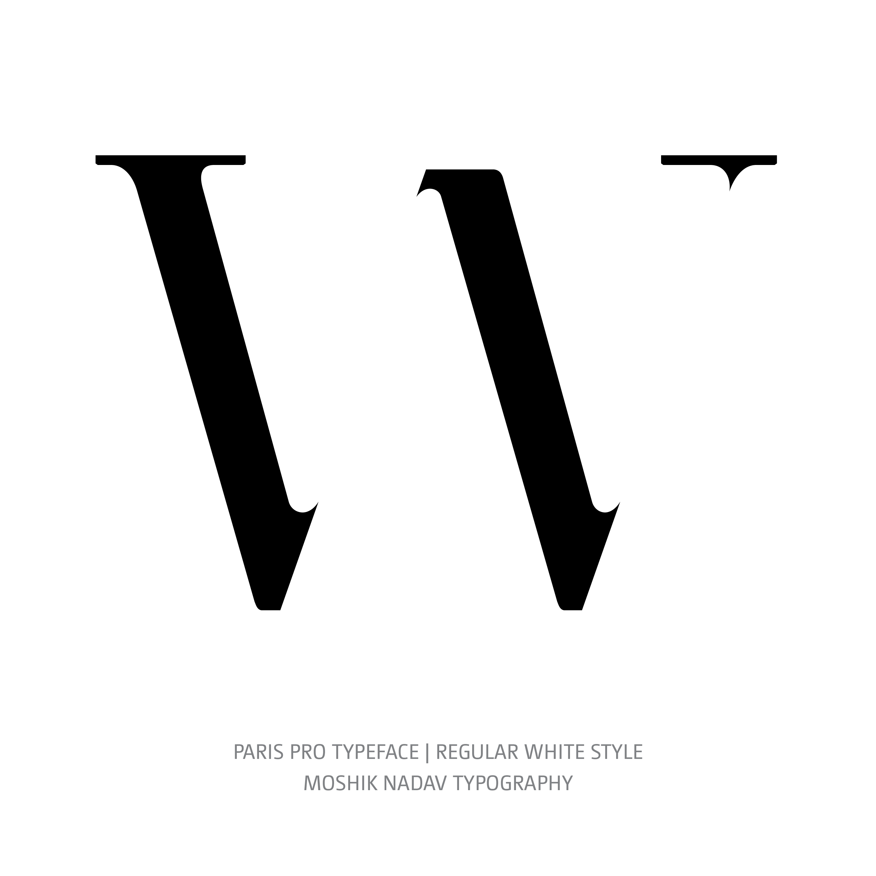 Paris Pro Typeface Regular White W