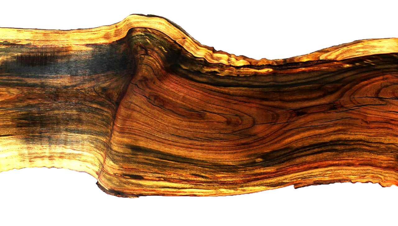 Pistachio wood slab