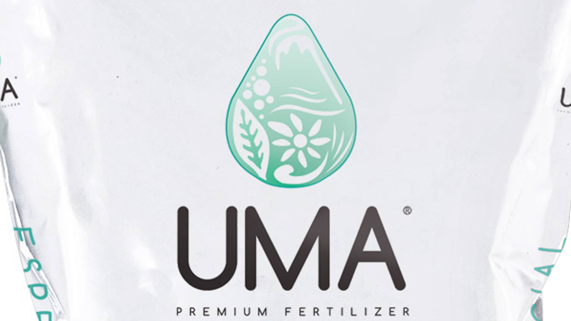 Featured image for UMA