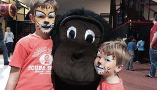 funky town löwen gesichter