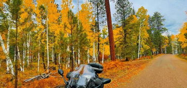 Jerome Cottonwood Sedona Prescott Adventure  near Phoenix, AZ