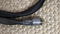 Tara Labs The One AC cable - 6 foot #3