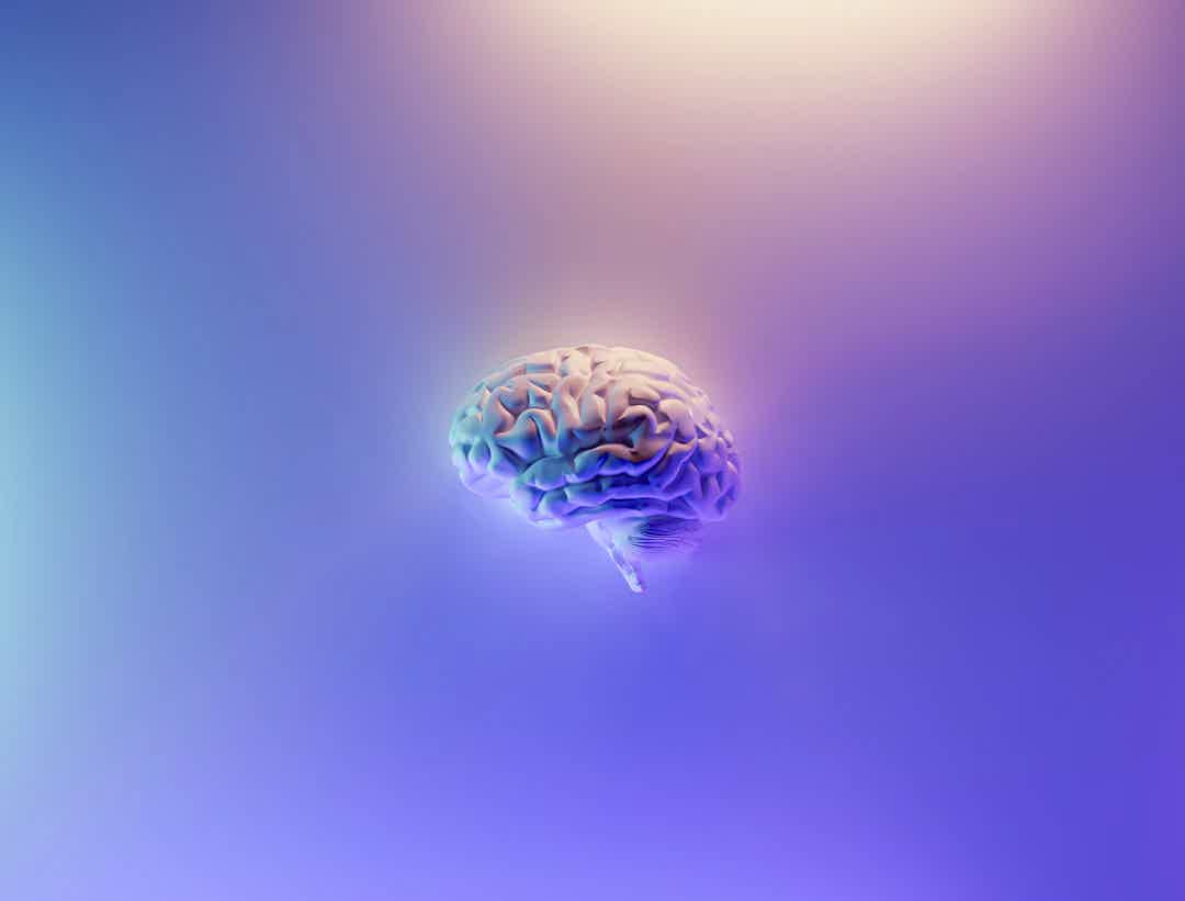 🧠 Fueling Your Brain: The Gut-Brain Connection and Nutrition for Mental Health