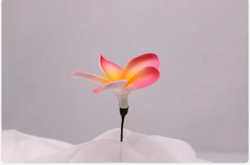 Sunrise Glow Frangipani Real Touch (6 Pack) - Realistic Artificial Flowers - Image 2