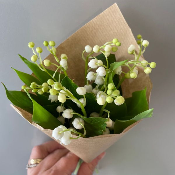 muguet-porte-bonheur-10-brins