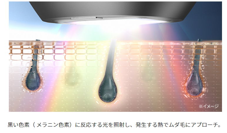 メラニン色素に反応する光を照射
