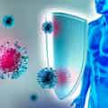 Integratori per il sistema immunitario