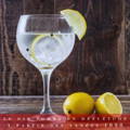 Verre à pied de gin tonic avec des de la glace, des citrons et des grains de poivre. Deux citrons verre sont posés à côté du verre.