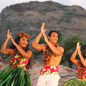 Help contribute to a luau experience