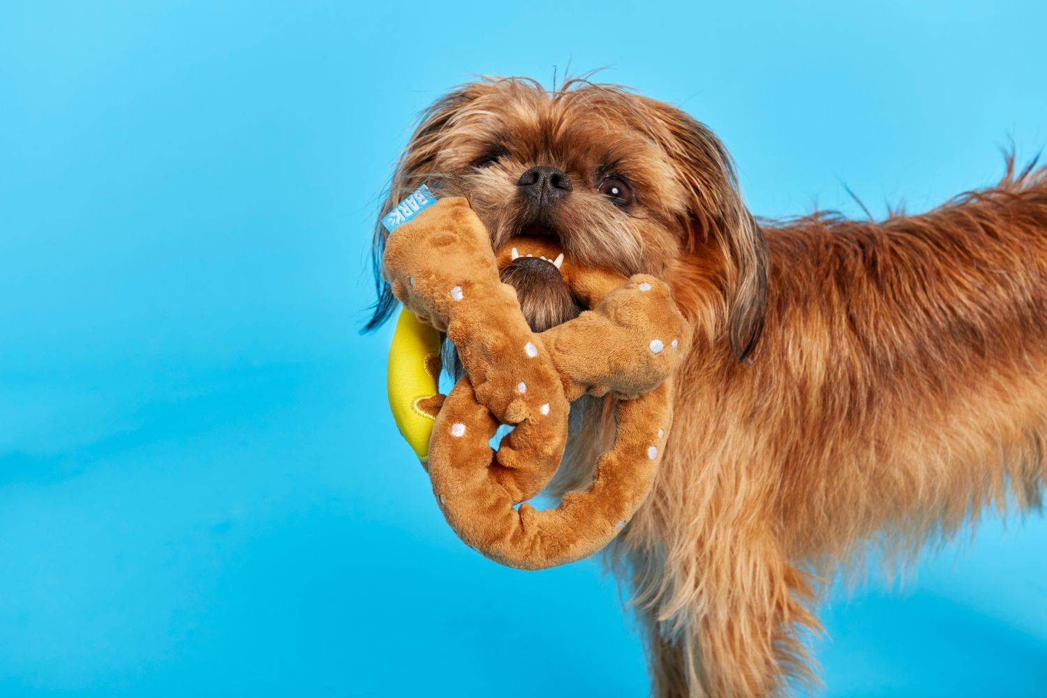 Dog outlet toys delivered