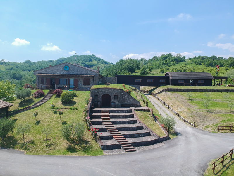 Food & Wine Tours Salsomaggiore Terme: Salsomaggiore: tour and wine tasting