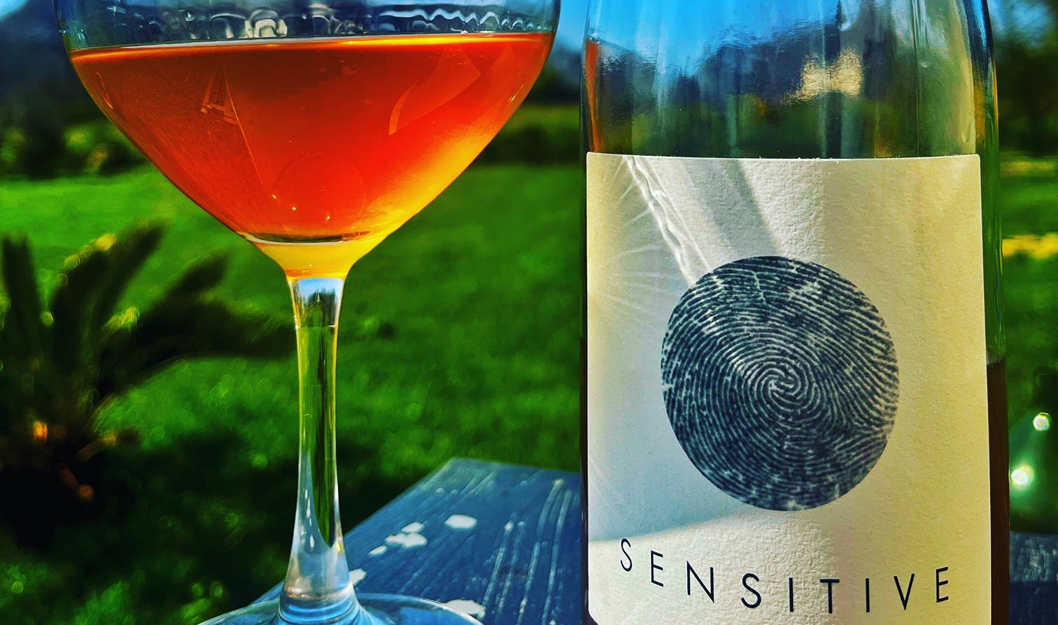 France, vin nature, rawwine, organic wine, vin bio, vin sans intrants, bistro brute, vin rouge, vin blanc, rouge, blanc, nature, vin propre, vigneron, vigneron indépendant, domaine bio, biodynamie, vigneron nature, cave vin naturel, cave vin, caviste, vin biodynamique, bistro brute, Quimper, Finistère, vin rosé, rosé, 
