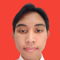 Remote Non Destructive examinations engineer - Armand A.