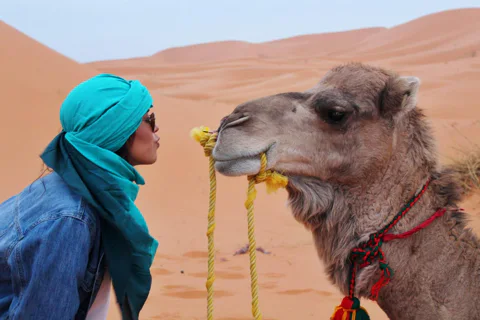 From Abu Dhabi Safari: Off-Road Desert Adventure & BBQ Dinner