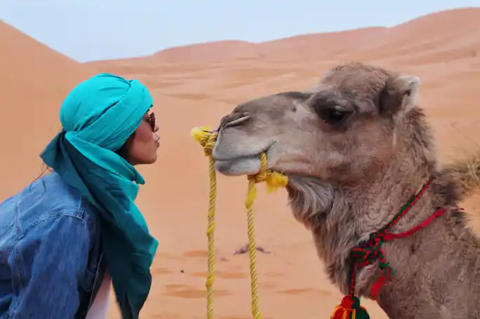 From Abu Dhabi Safari: Off-Road Desert Adventure & BBQ Dinner