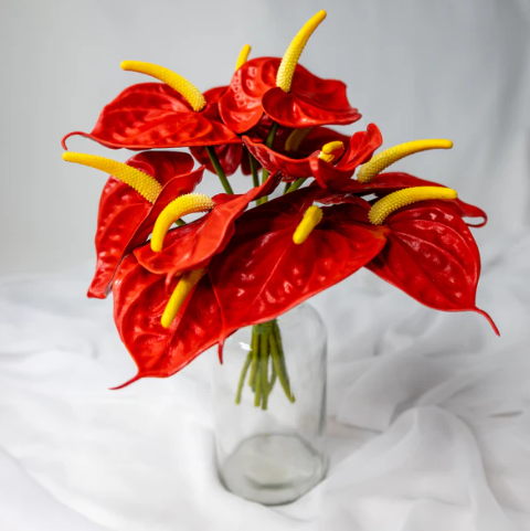 Anthurium Small Red - Realistic Artificial Flowers