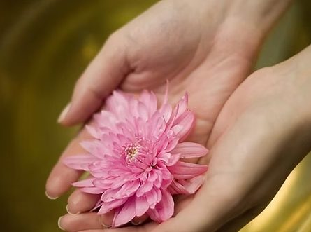 Hidden Cove Day Spa & Retreat Voucher