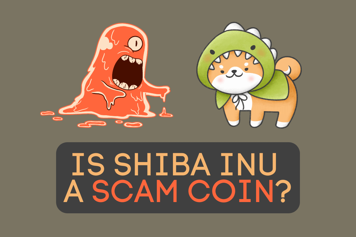 Is Shiba Inu a Scam Coin?