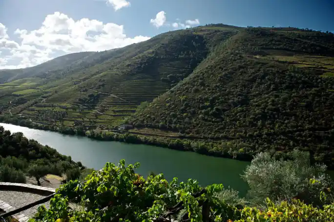 Douro Valley Wine Tour