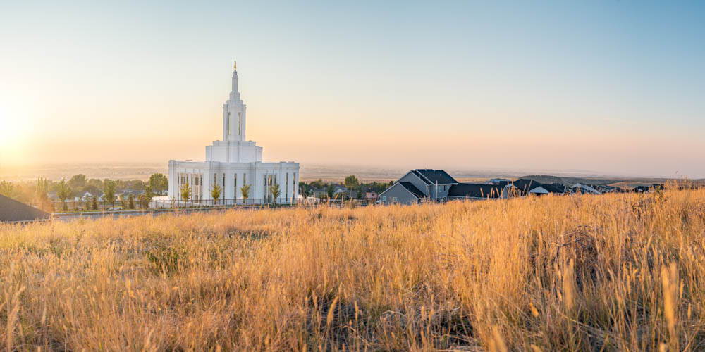 Pocatello Temple behind a wheat field.