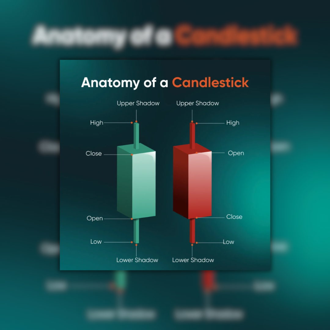 Main Content Image