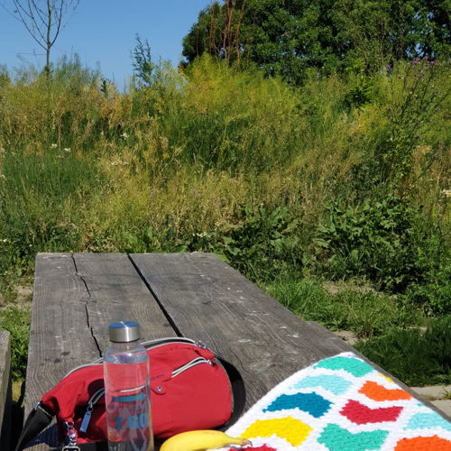 Gehen Sie Ihren eigenen Weg