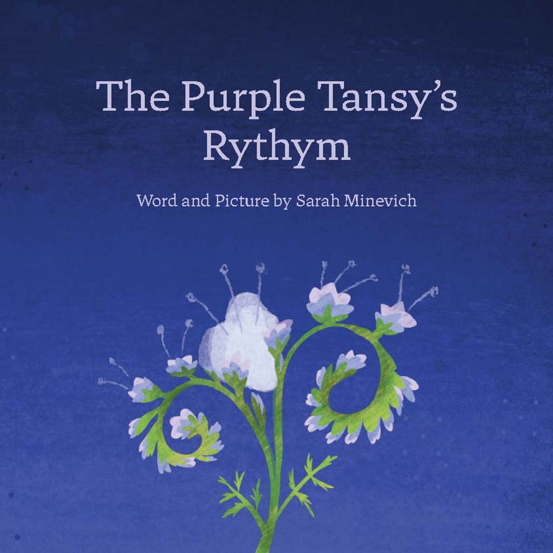 Image of The Purple Tansy