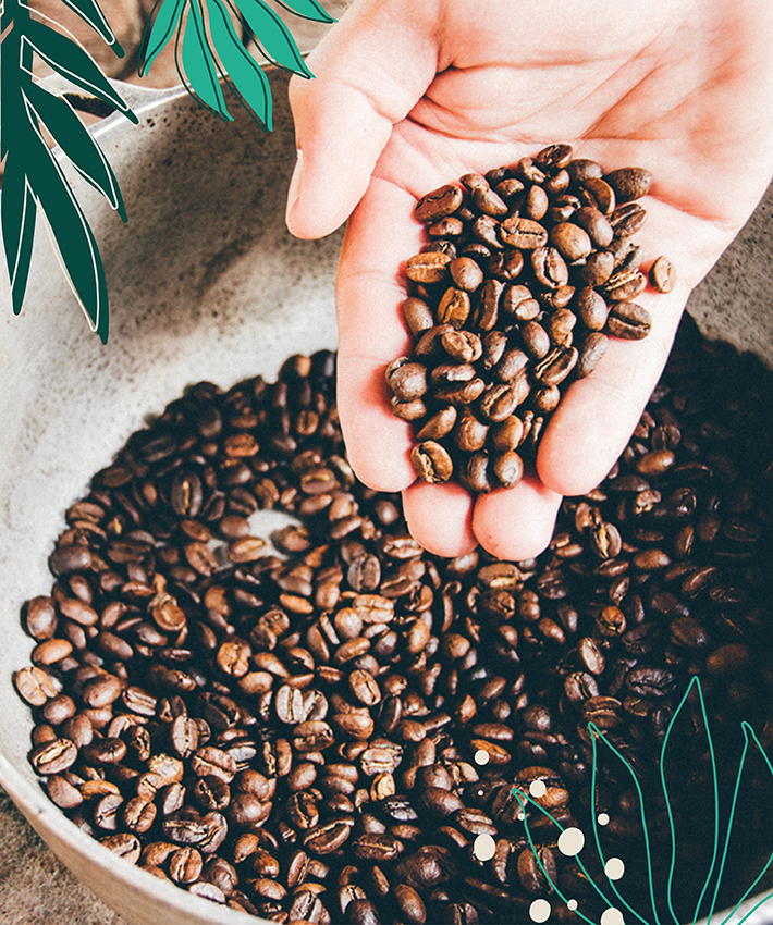 Handful of coffee beans pouring into a sack of coffee beans.