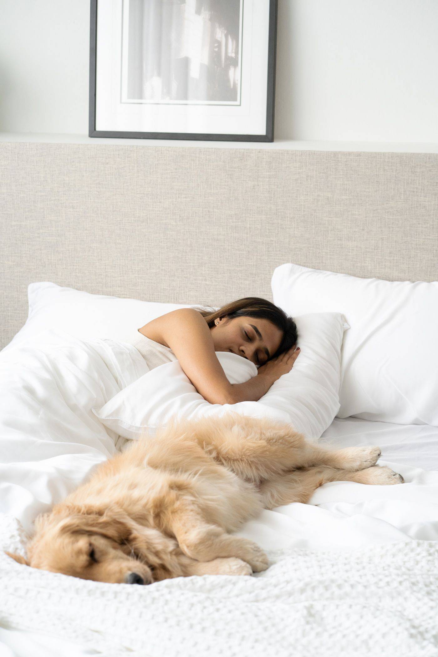 woman sleeping on bed with pet dog featuring Weavve's Tencel Lyocell white bed sheets