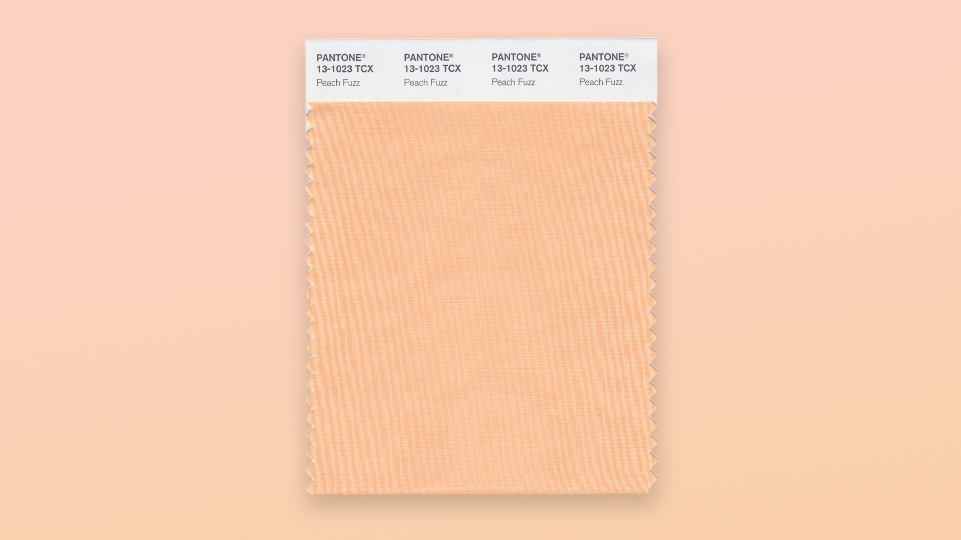 Do We Still Collectively Care About the Pantone COY? Color Experts Weigh In