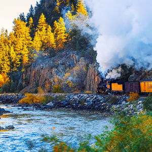 Train Ride Trip