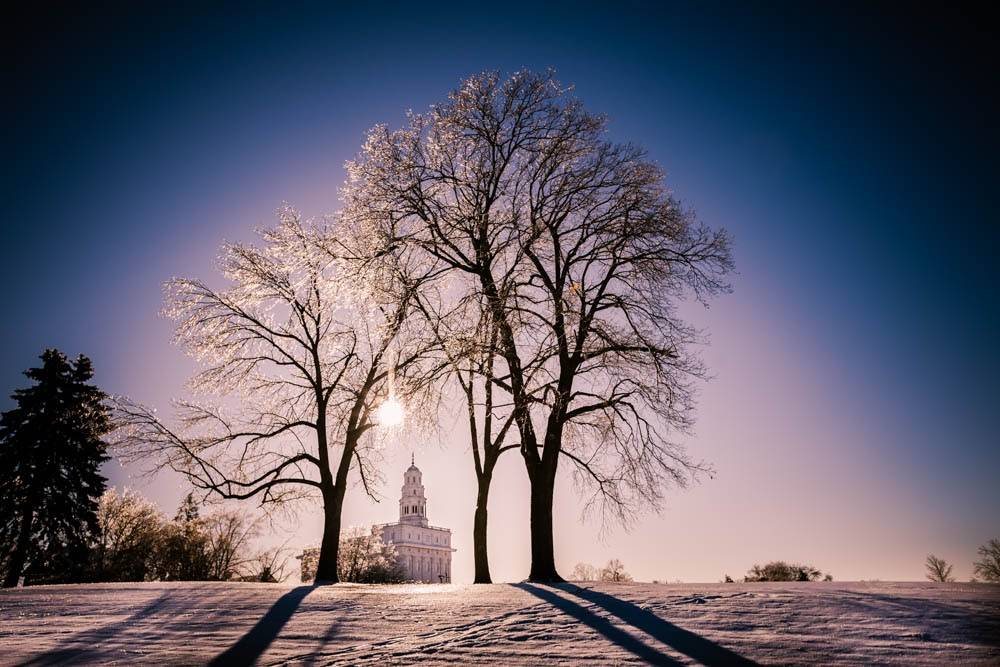 Distant photo of the Nauvvo TEmple standing between two winter trees.