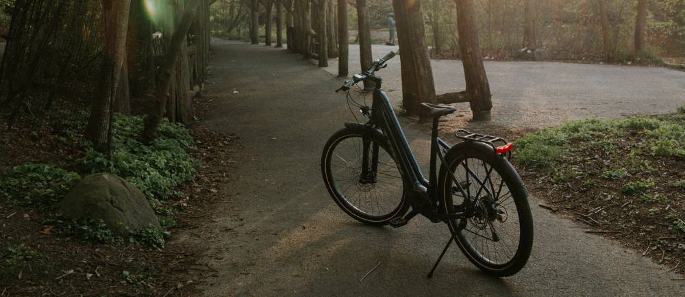 A Step Through E-Bike On A Forest Path