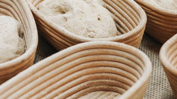 Main Content Image