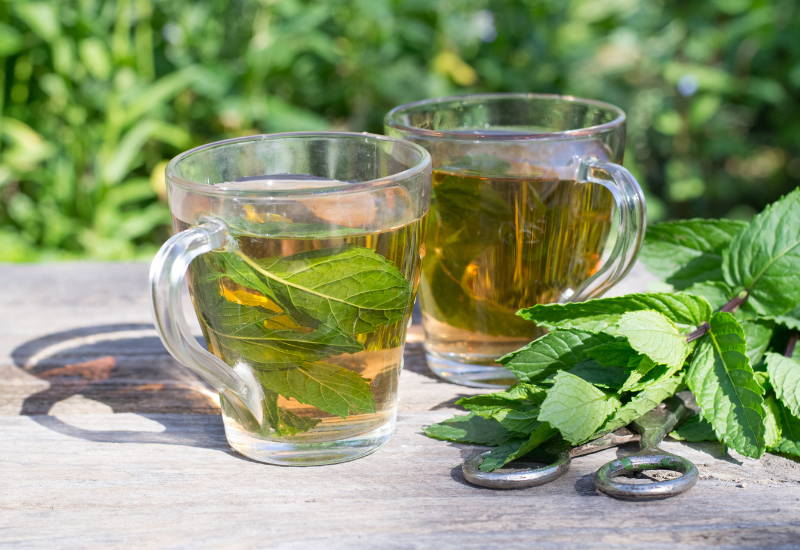 ミントの葉を食べる