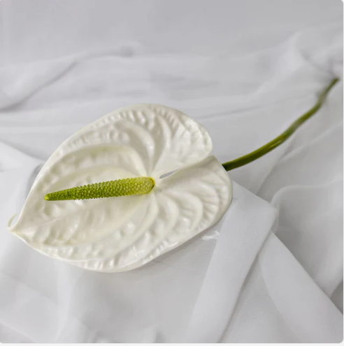 White Large Anthurium - Realistic Artificial Flowers - Image 2