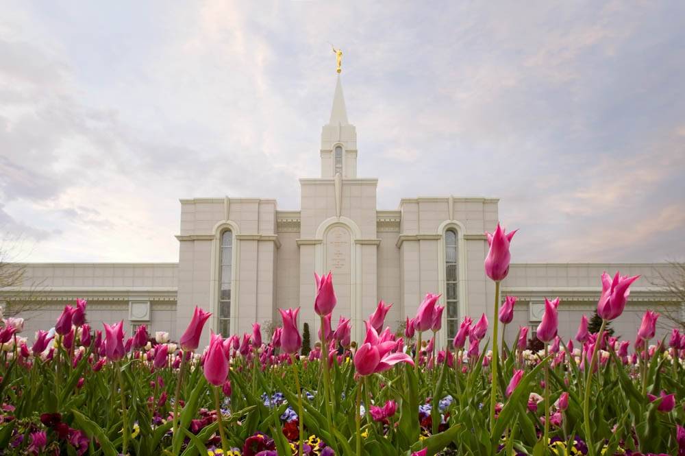 Bountiful Temple surrounded by pink tulips.