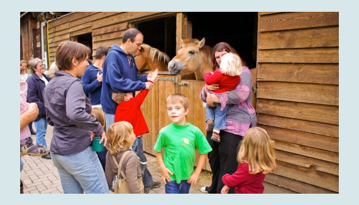 Kindergeburtstag Feiern In Bonn Kalaydoskop