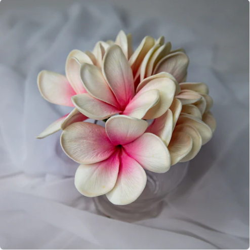 White Pink Frangipani Flowerhead (6 Pack) - Realistic Artificial Flowers - Image 7