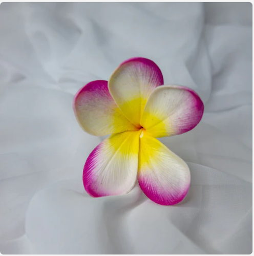 White Fuchsia Frangipani Flowerhead (6 Pack) - Realistic Artificial Flowers - Image 4