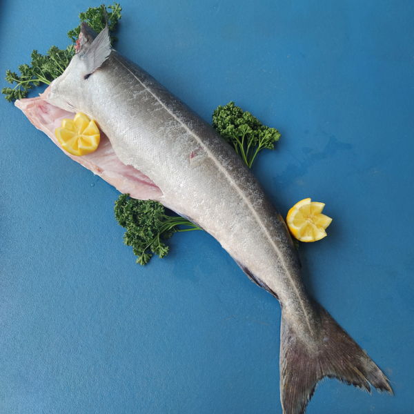 filet-de-lieu-noir