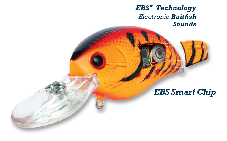 EBS Technology & Design – Livingston Lures
