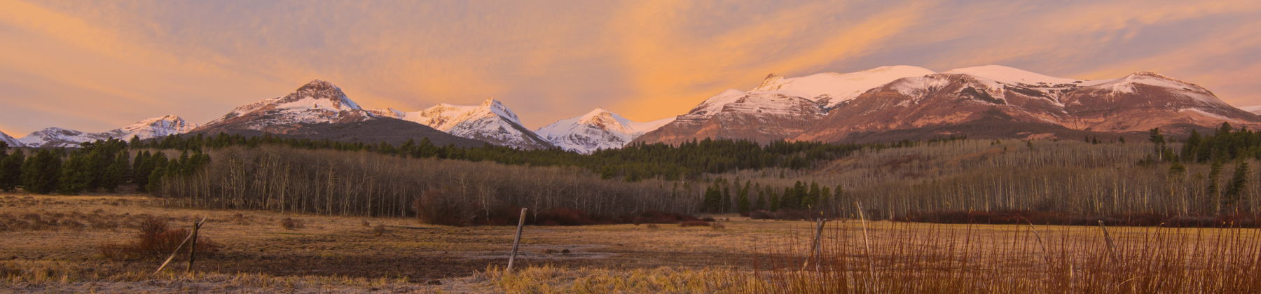 Montana skyline