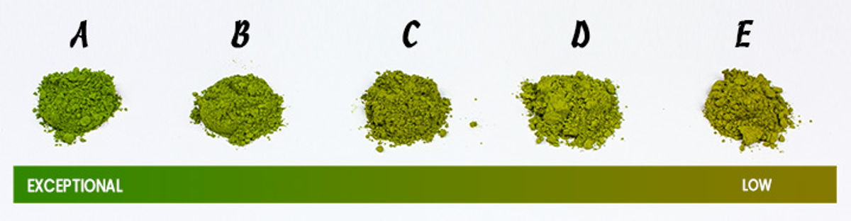 Comparison of matcha powder grades from ceremonial grade A through to lower supermarket grades
