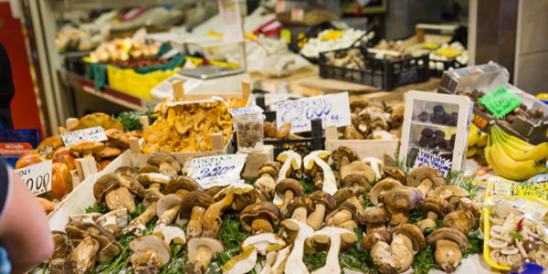 Market tour and Dining Experience in Turin