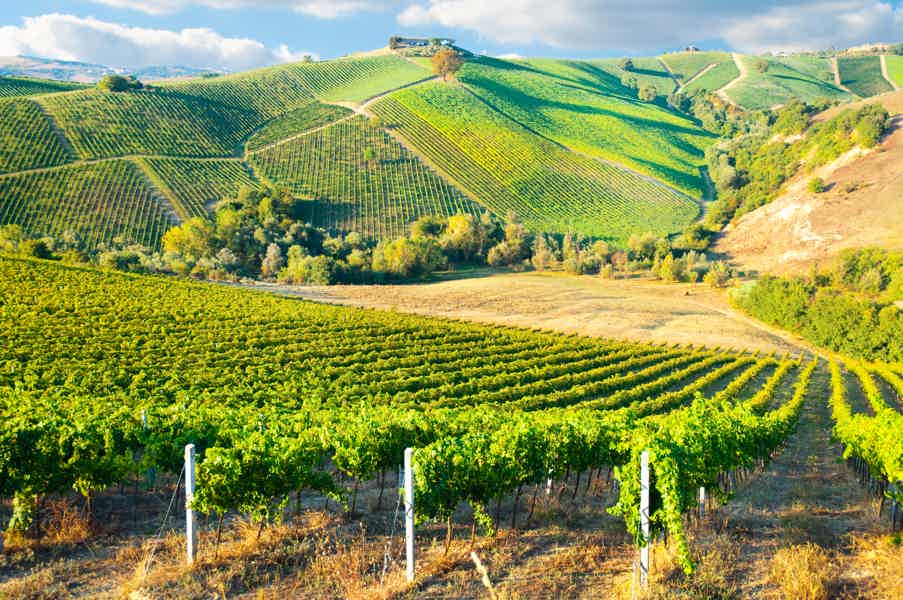 Enjoy the Traditional Chianti Wine and Food on a Half-Day Tour - photo 2