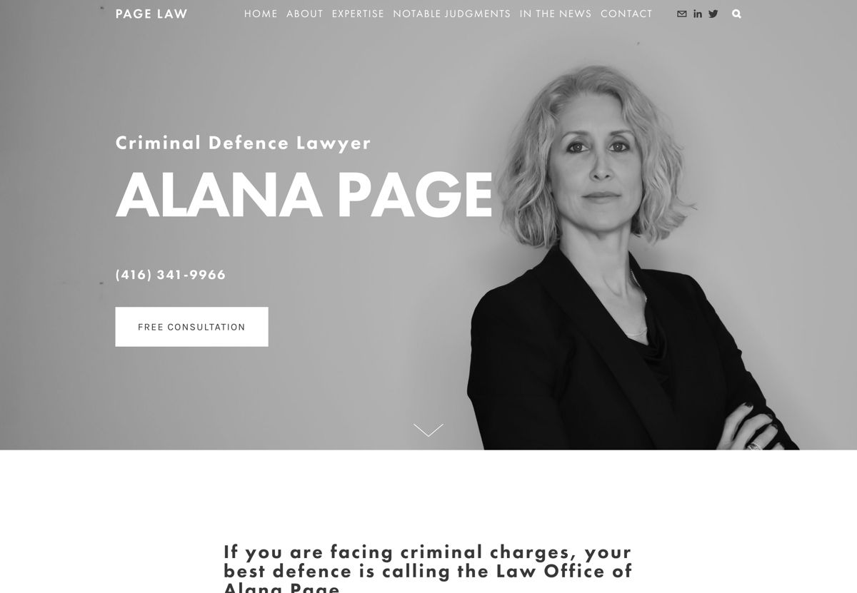 Screenshot of Page Law, from the lawyer websites collection.