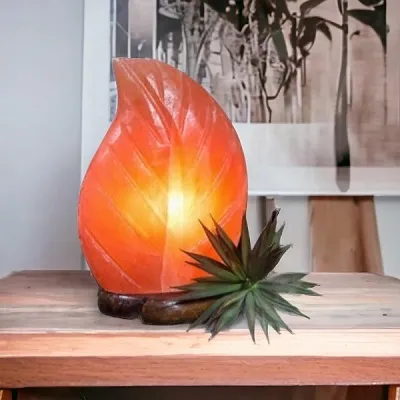 Salt Lamp - Leaf