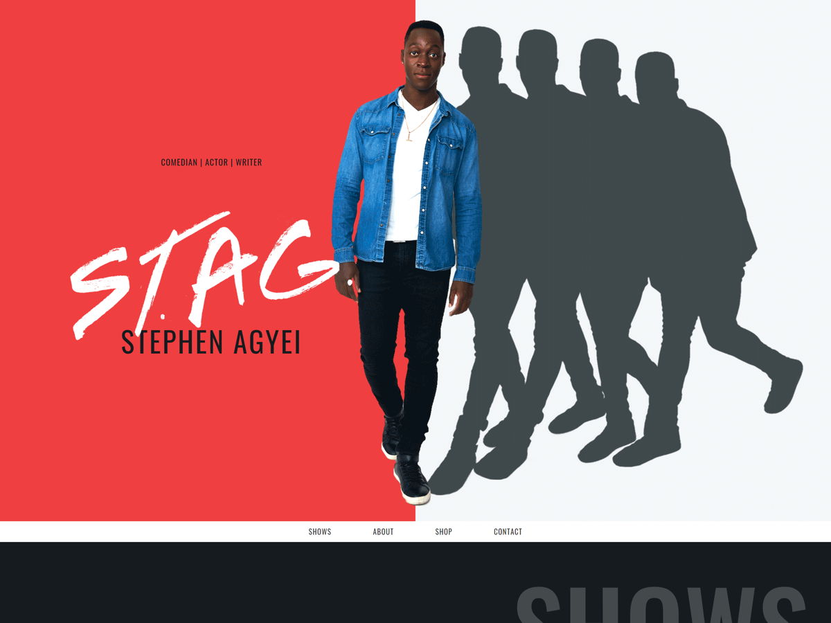 Screenshot of Stephen Agyei, from the actor websites collection.